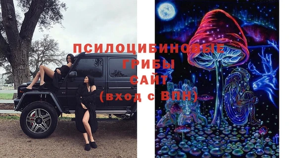 меф Инсар