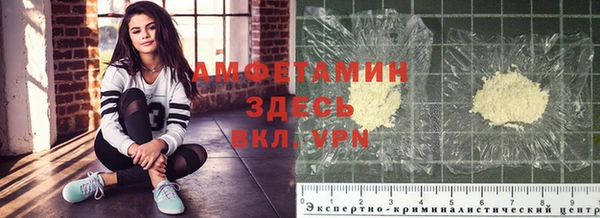 стафф Иннополис