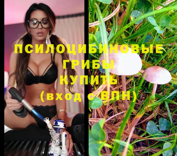 стафф Иннополис
