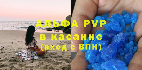 стафф Иннополис