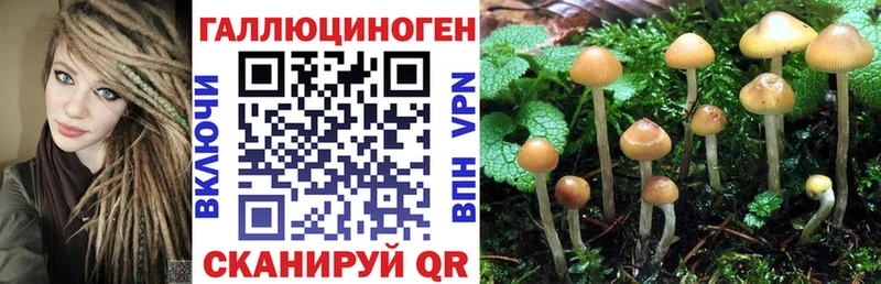 Галлюциногенные грибы ЛСД  Купить  Волоколамск 